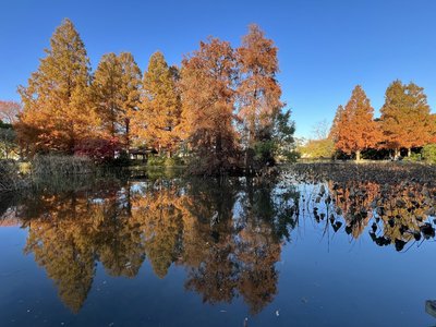 🌳 미즈호 생태 공원(미즈호 에코 파크) 이미지 2